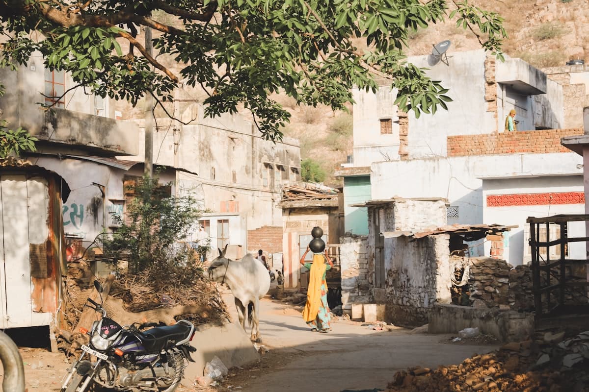 Rooted in our village